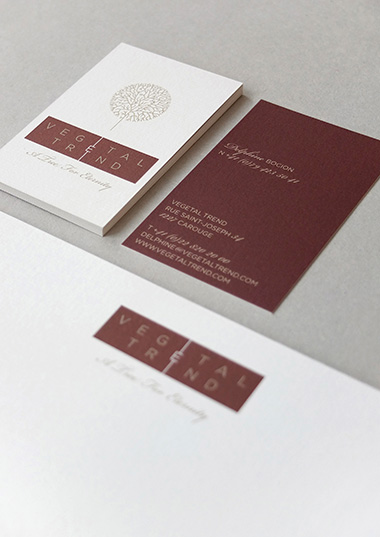 <br />
<b>Fatal error</b>: Call to undefined function smarty_modifier_escape() in <b>/home/clients/b2844f522c0b88e38de2e6386e54502c/web/cache/smarty/templates_c/3501e05f4218c78ae44bf130c93ae33213f21ed6.file.index.tpl.php</b> on line <b>63</b><br />